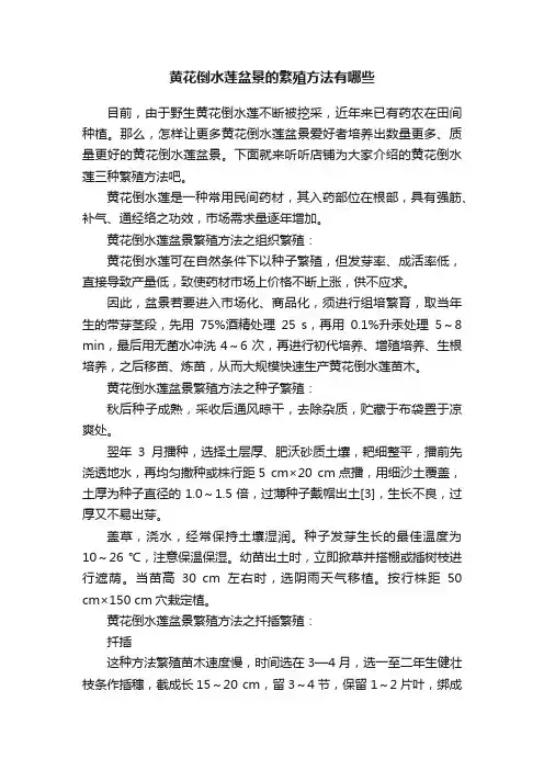 黄花倒水莲盆景的繁殖方法有哪些