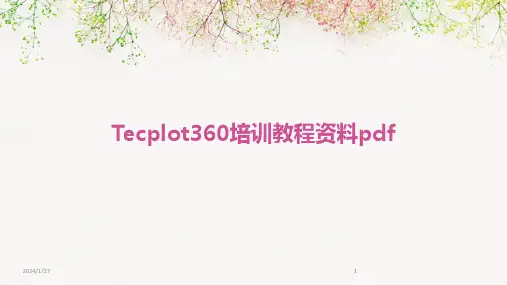 Tecplot360培训教程资料pdf(2024)