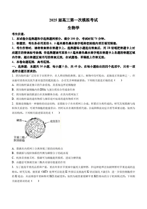 陕西省教育联盟2024—2025学年高三上学期第一次模拟考试生物试卷(含答案)