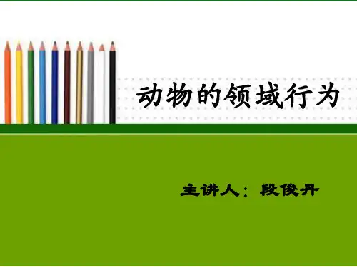 动物的领域行为