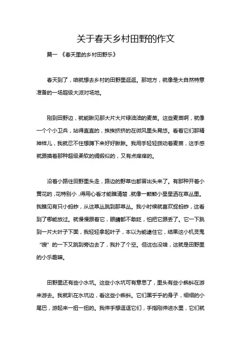 关于春天乡村田野的作文
