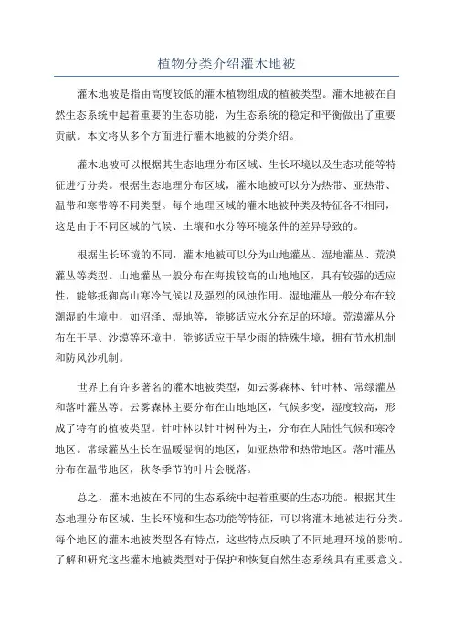 植物分类介绍灌木地被