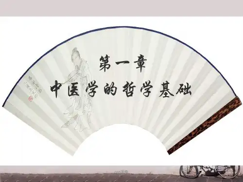 中医学的哲学基础  ppt课件