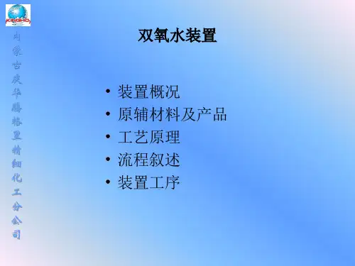 双氧水装置简介