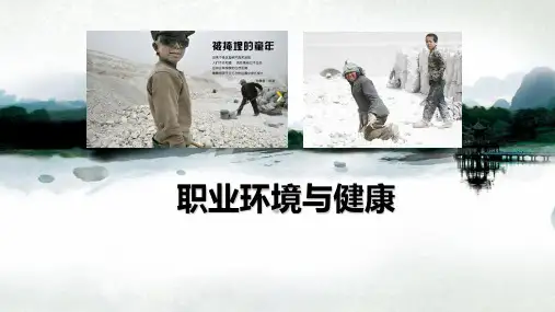 职业环境与健康培训ppt