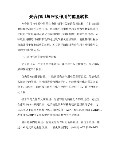 光合作用与呼吸作用的能量转换