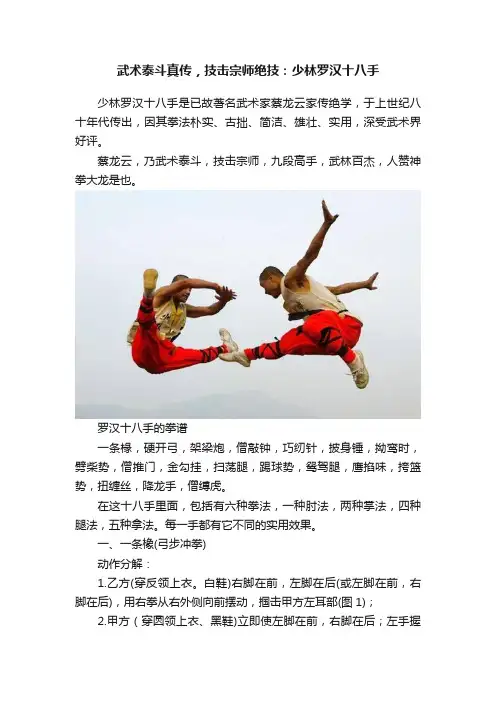 武术泰斗真传，技击宗师绝技：少林罗汉十八手