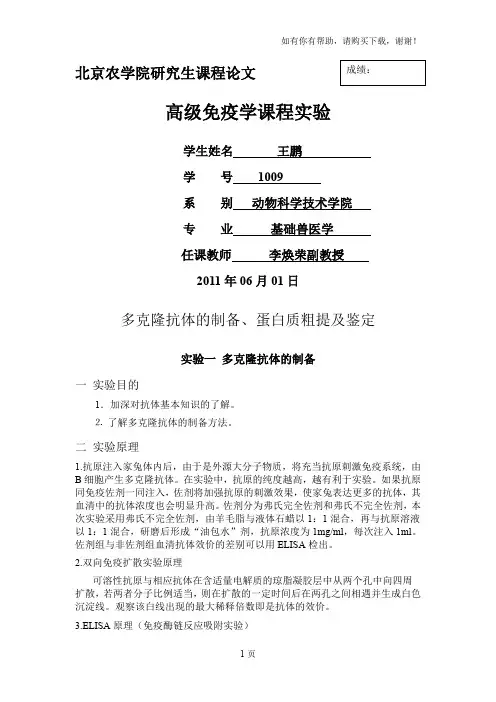 免疫实验报告王鹏