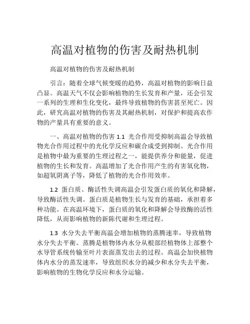 高温对植物的伤害及耐热机制