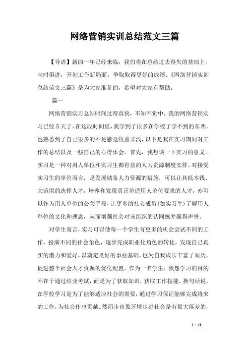 网络营销实训总结范文三篇