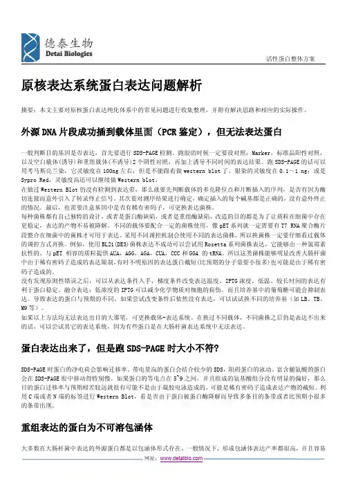 原核表达系统蛋白表达问题解析