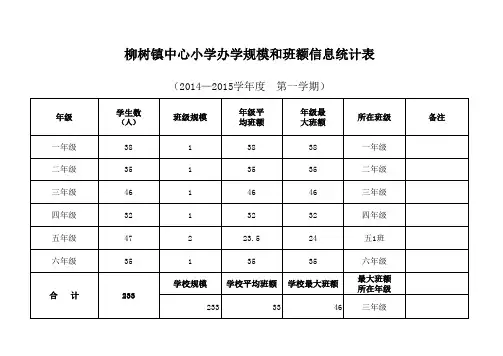 学校规模班额信息统计表
