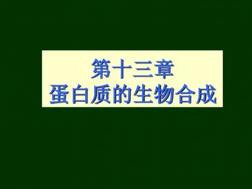 东北师范大学生物化学第十三章蛋白质的生物合成