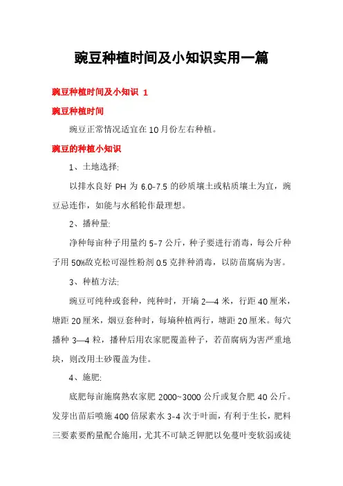 豌豆种植时间及小知识实用一篇