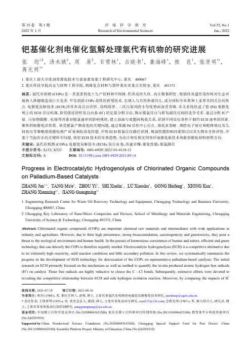 钯基催化剂电催化氢解处理氯代有机物的研究进展