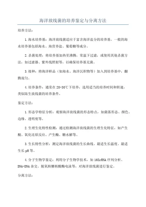 海洋放线菌的培养鉴定与分离方法