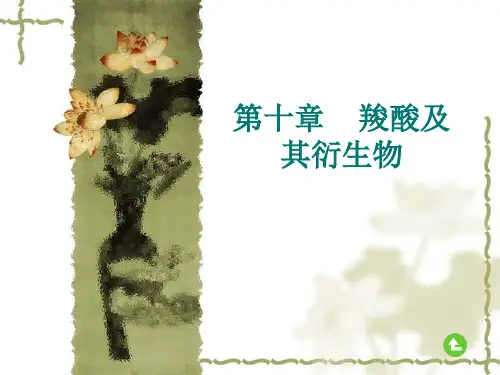 高中化学竞赛辅导《羧酸及其衍生物》课件
