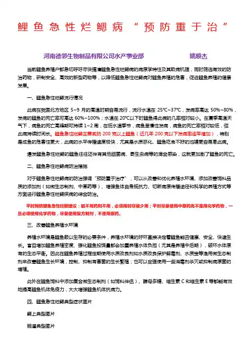 鲤鱼急性烂鳃病