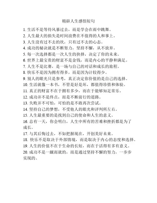 精辟人生感悟短句