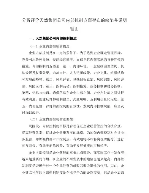 分析评价天然集团公司内部控制方面存在的缺陷并说明理由