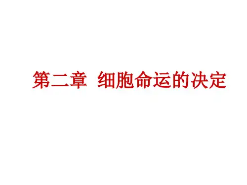 发育生物学___第二章___细胞命运的决定