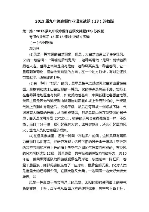 2013届九年级寒假作业语文试题（13）苏教版