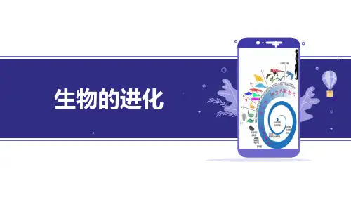 一轮复习-生物的进化