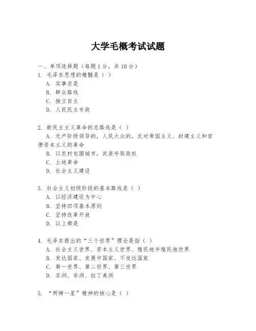 大学毛概考试试题