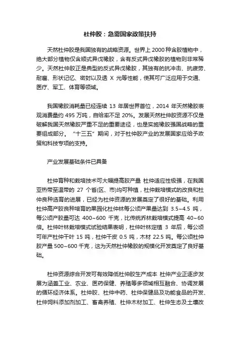 杜仲胶：急需国家政策扶持