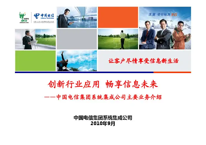 中国电信系统集成公司主要业务介绍(PDF 36页)