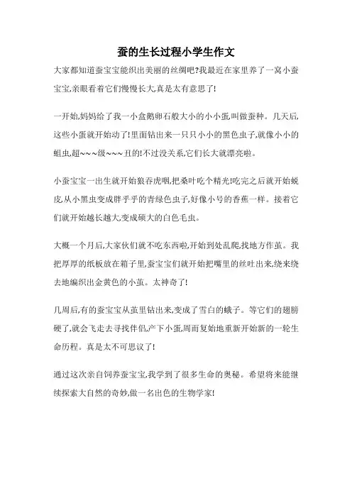 蚕的生长过程小学生作文