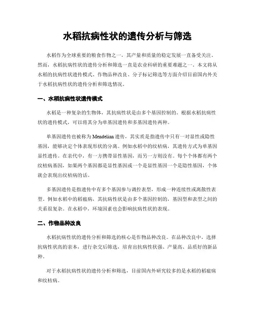水稻抗病性状的遗传分析与筛选