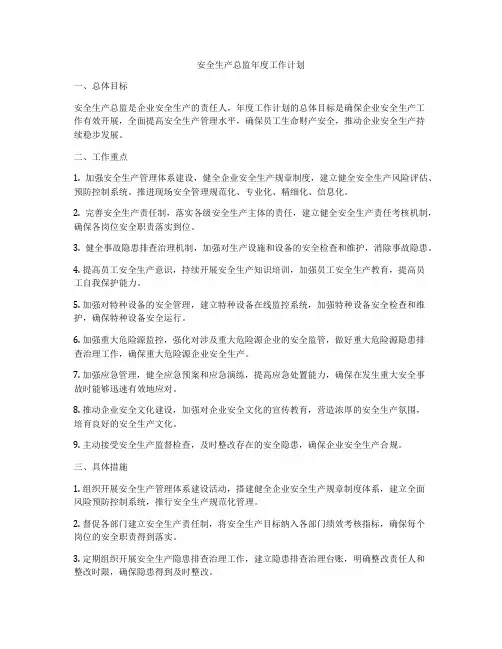 安全生产总监年度工作计划