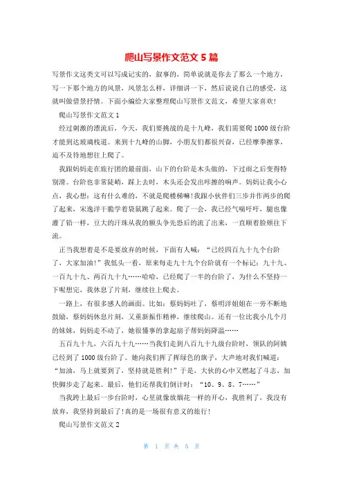 爬山写景作文范文5篇