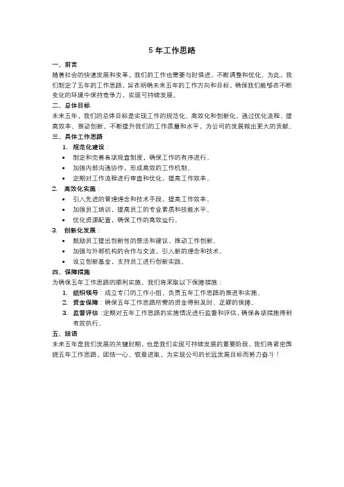 5年工作思路
