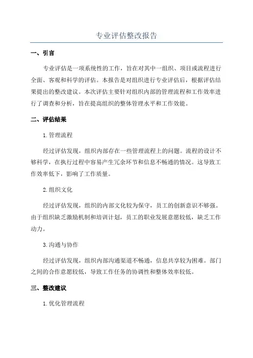 专业评估整改报告