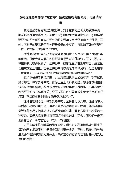 农村这种野草俗称“蛇竹草”据说是解蛇毒的良药，见到请珍惜