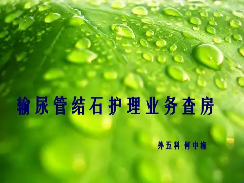 《膀胱结石》幻灯片PPT