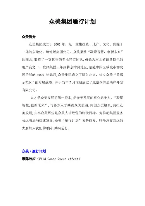 众美集团-雁行计划