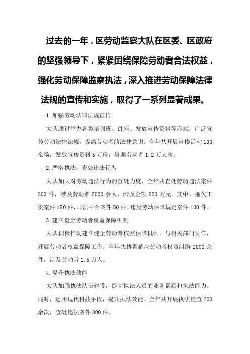 区劳动监察大队全年工作总结及来年计划