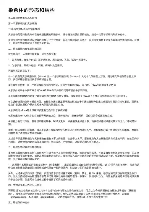 染色体的形态和结构