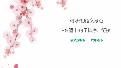 小升初语文专题十句子排序衔接课件