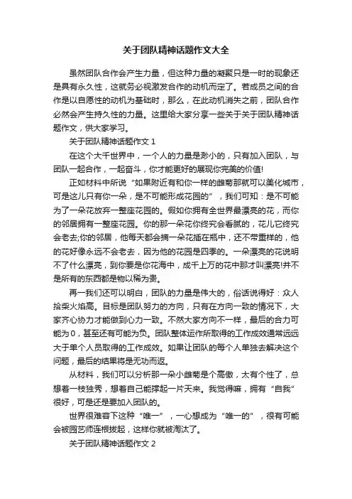 关于团队精神话题作文大全