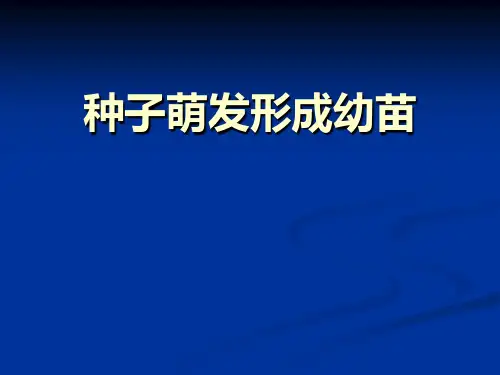 《种子萌发形成幼苗》PPT
