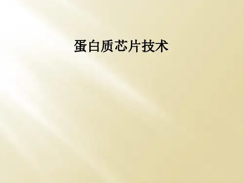 蛋白质芯片技术