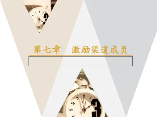 渠道成员激励(直接、间接)