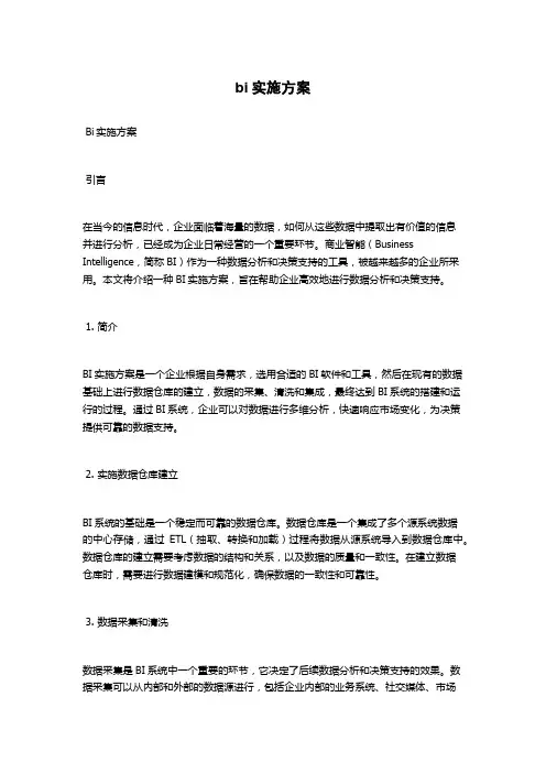 bi实施方案