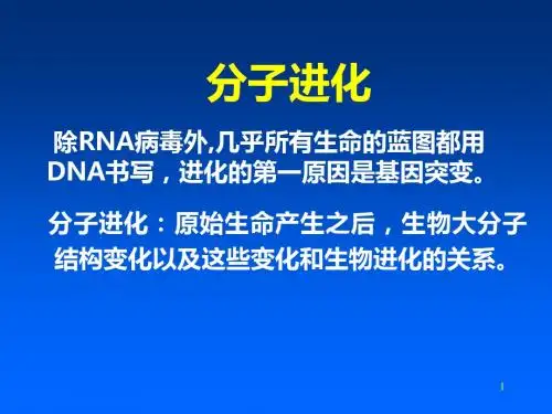 比较基因组与分子进化