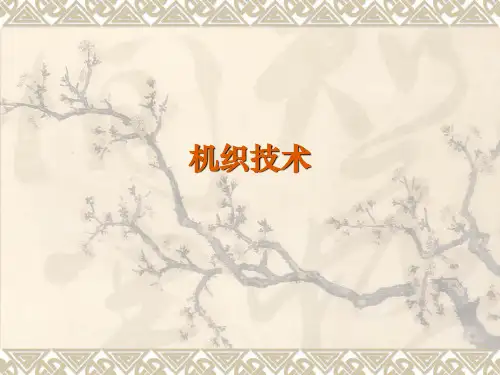 机织技术PPT