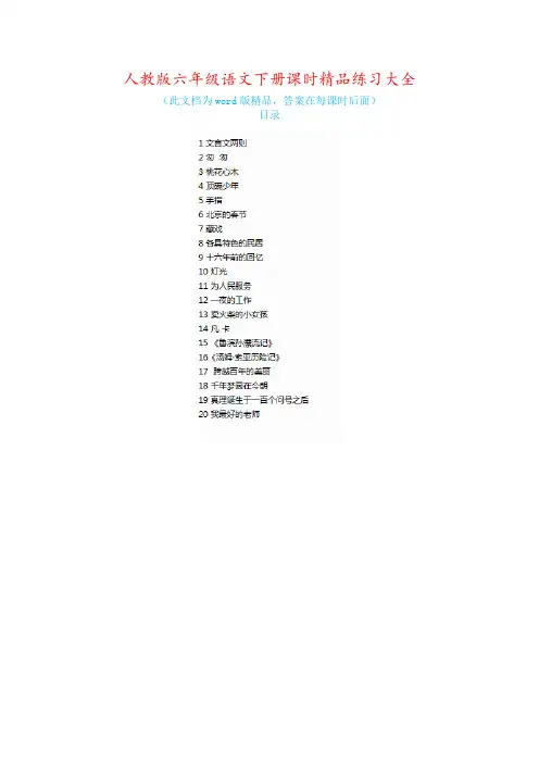 人教版六年级语文下册课时精品课时练习大全含答案